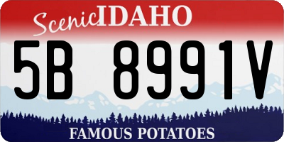 ID license plate 5B8991V