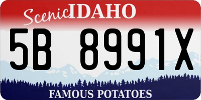ID license plate 5B8991X