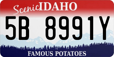 ID license plate 5B8991Y