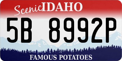 ID license plate 5B8992P