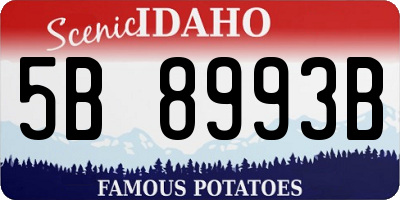 ID license plate 5B8993B