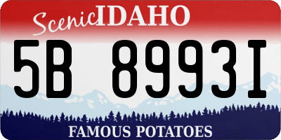 ID license plate 5B8993I