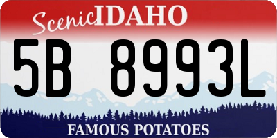 ID license plate 5B8993L