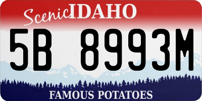 ID license plate 5B8993M