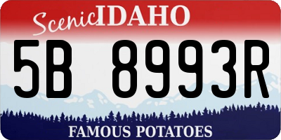 ID license plate 5B8993R