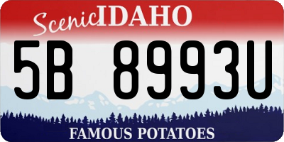 ID license plate 5B8993U