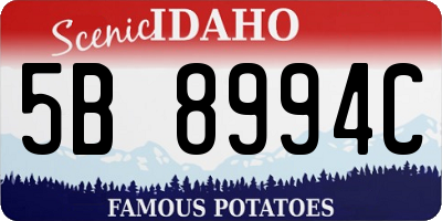 ID license plate 5B8994C