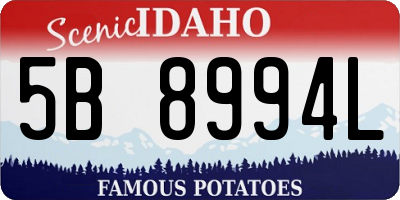 ID license plate 5B8994L