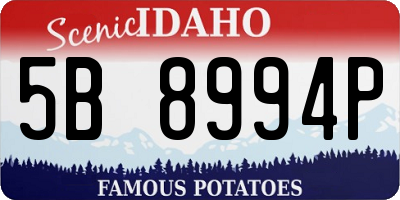 ID license plate 5B8994P