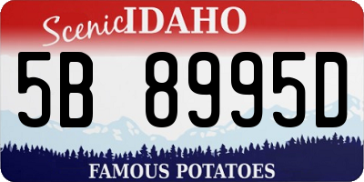 ID license plate 5B8995D