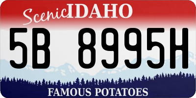 ID license plate 5B8995H