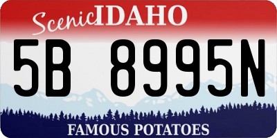 ID license plate 5B8995N