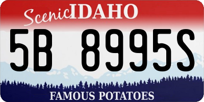 ID license plate 5B8995S