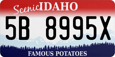 ID license plate 5B8995X