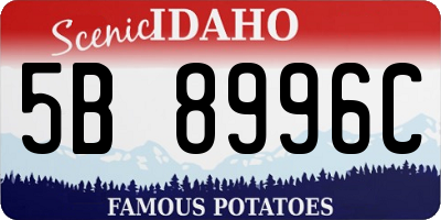 ID license plate 5B8996C