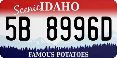 ID license plate 5B8996D