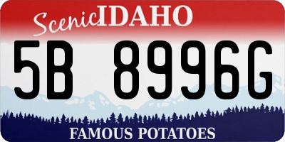 ID license plate 5B8996G