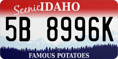 ID license plate 5B8996K
