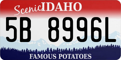 ID license plate 5B8996L