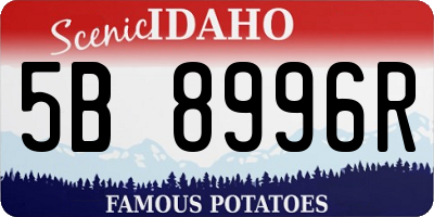 ID license plate 5B8996R