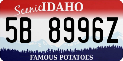 ID license plate 5B8996Z