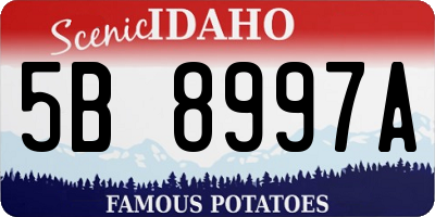 ID license plate 5B8997A