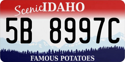 ID license plate 5B8997C