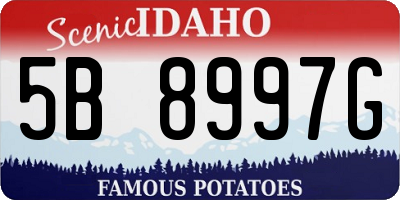 ID license plate 5B8997G
