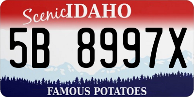 ID license plate 5B8997X