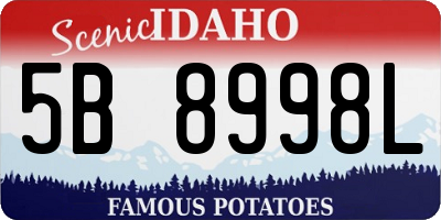 ID license plate 5B8998L
