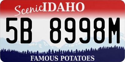 ID license plate 5B8998M