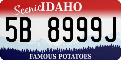 ID license plate 5B8999J