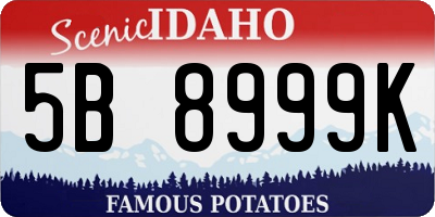ID license plate 5B8999K