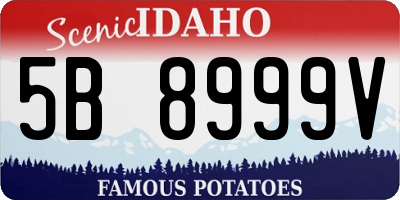 ID license plate 5B8999V