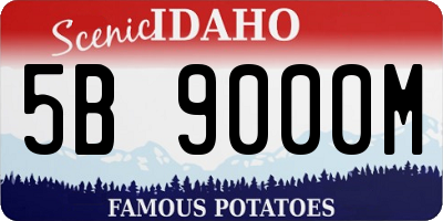 ID license plate 5B9000M