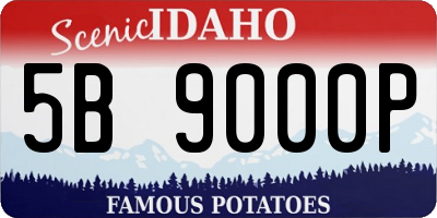 ID license plate 5B9000P