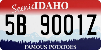 ID license plate 5B9001Z