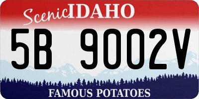 ID license plate 5B9002V