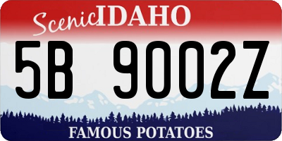 ID license plate 5B9002Z