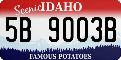 ID license plate 5B9003B