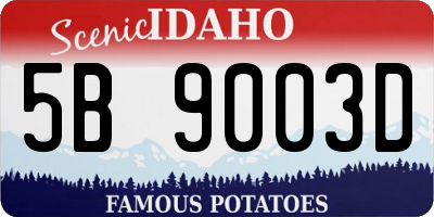 ID license plate 5B9003D