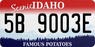 ID license plate 5B9003E
