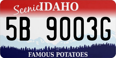 ID license plate 5B9003G