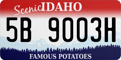 ID license plate 5B9003H