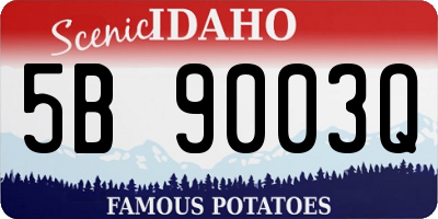 ID license plate 5B9003Q