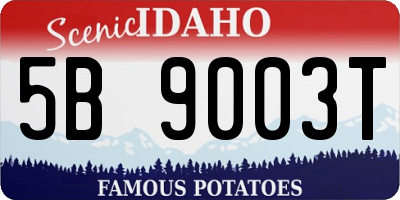 ID license plate 5B9003T