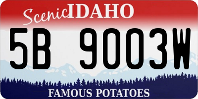 ID license plate 5B9003W