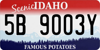 ID license plate 5B9003Y