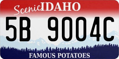 ID license plate 5B9004C