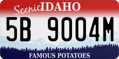 ID license plate 5B9004M